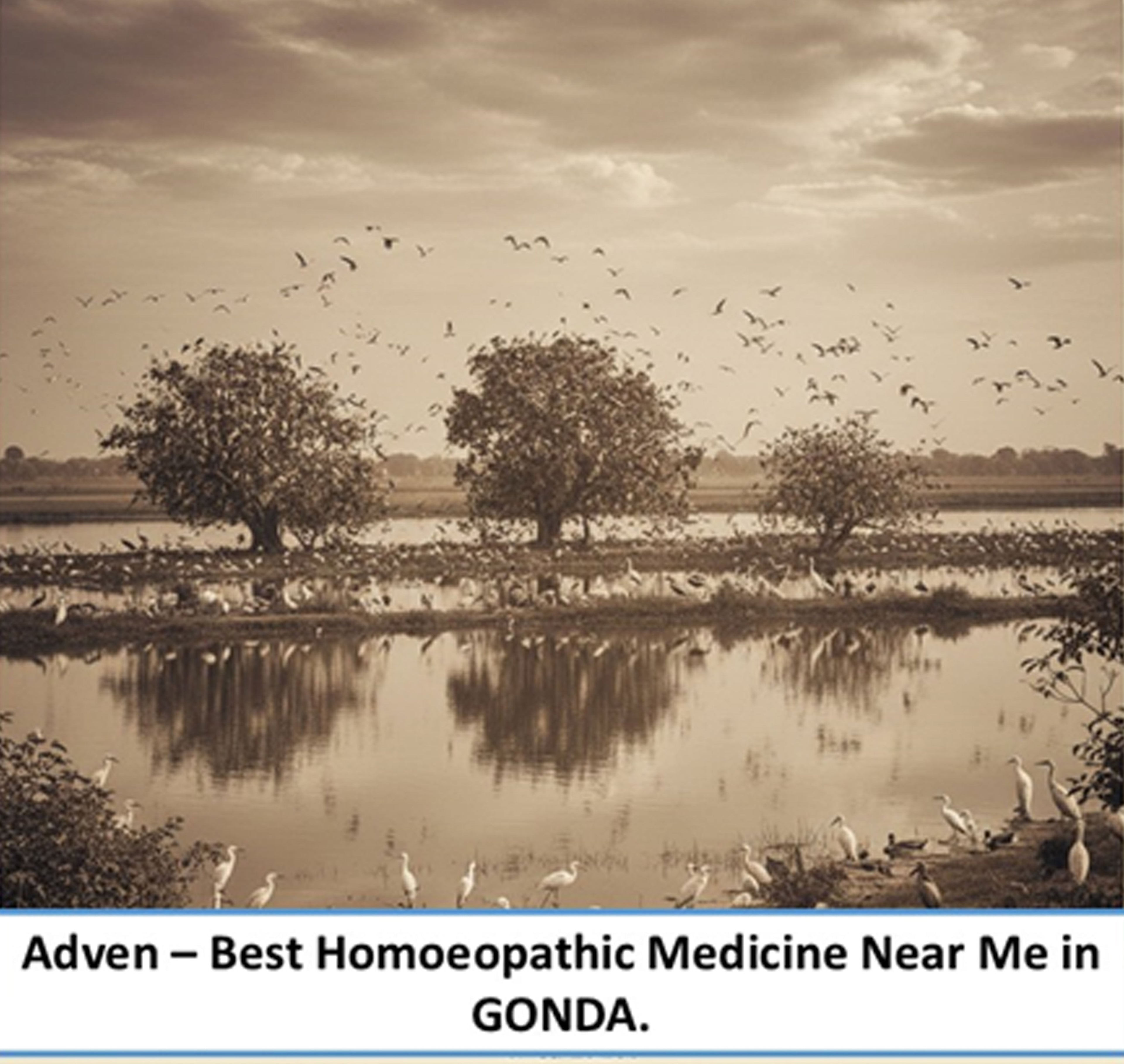 Best Homoeopathic Medicine Near Me in Gonda – Trusted Family Wellness with WHO-GMP Compliant Manufacturing by Adven