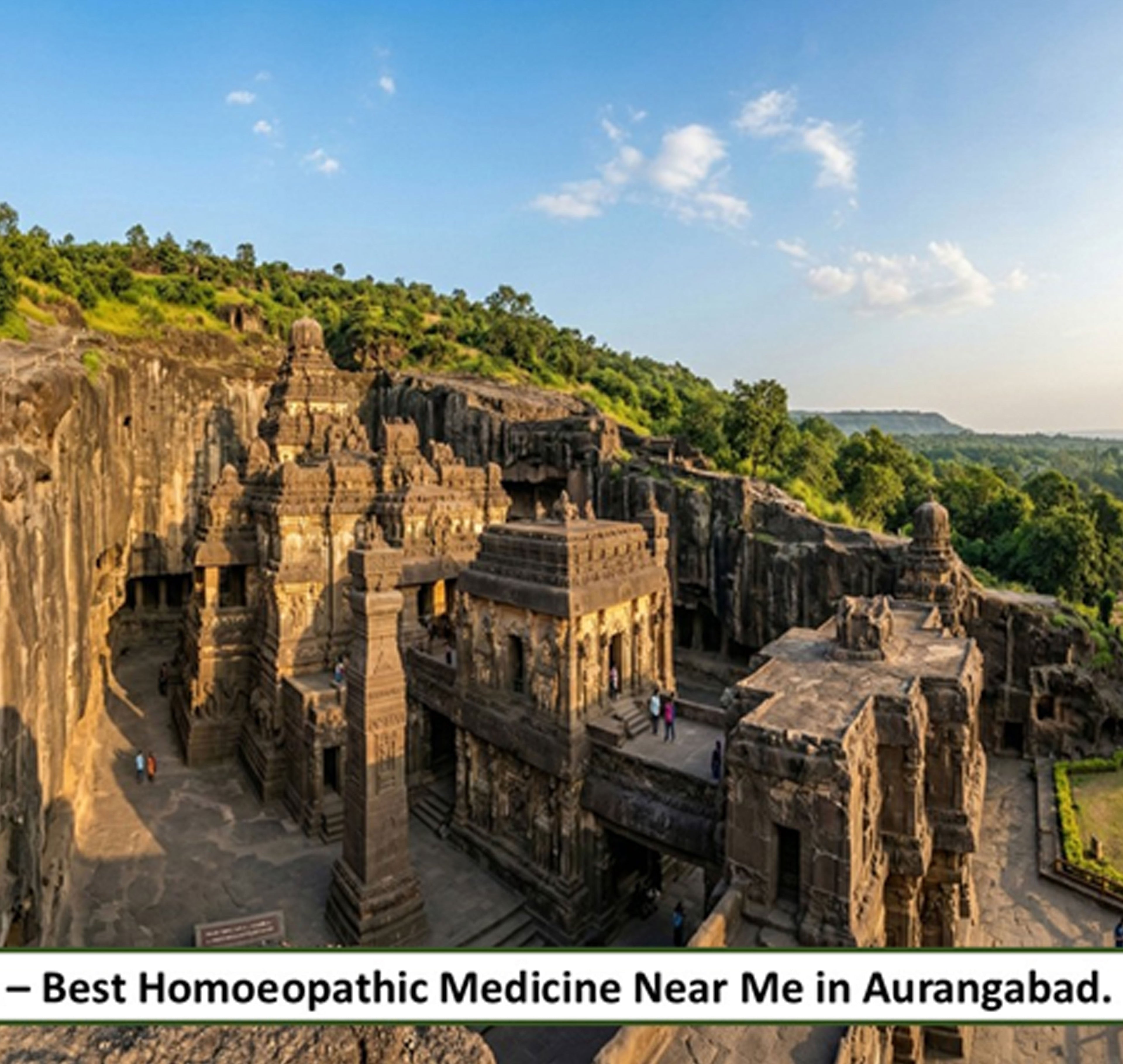 Best Homoeopathic Medicine in Aurangabad, Maharashtra - Adven