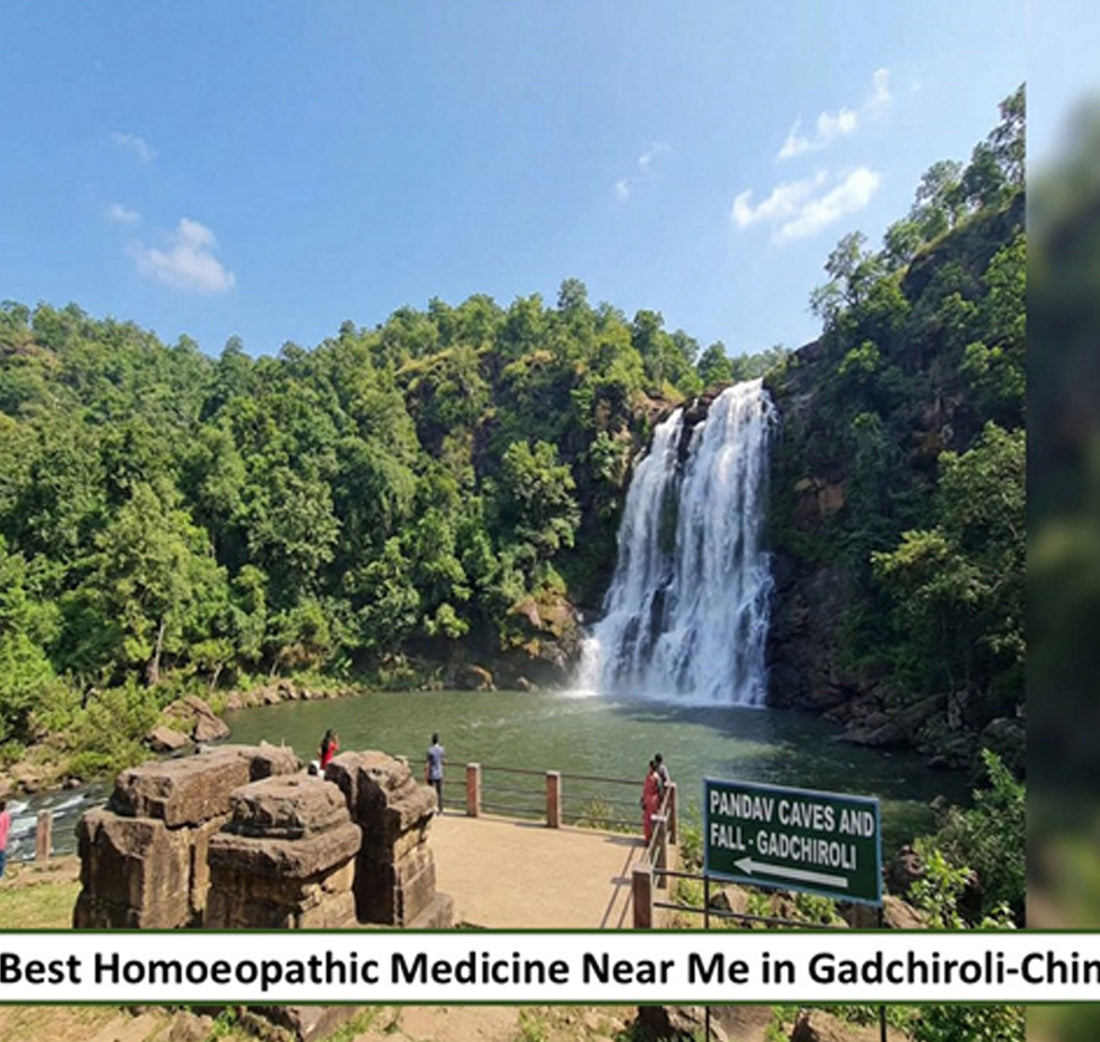 Best Homoeopathic Medicine in Gadchiroli–Chimur, Maharashtra - Adven