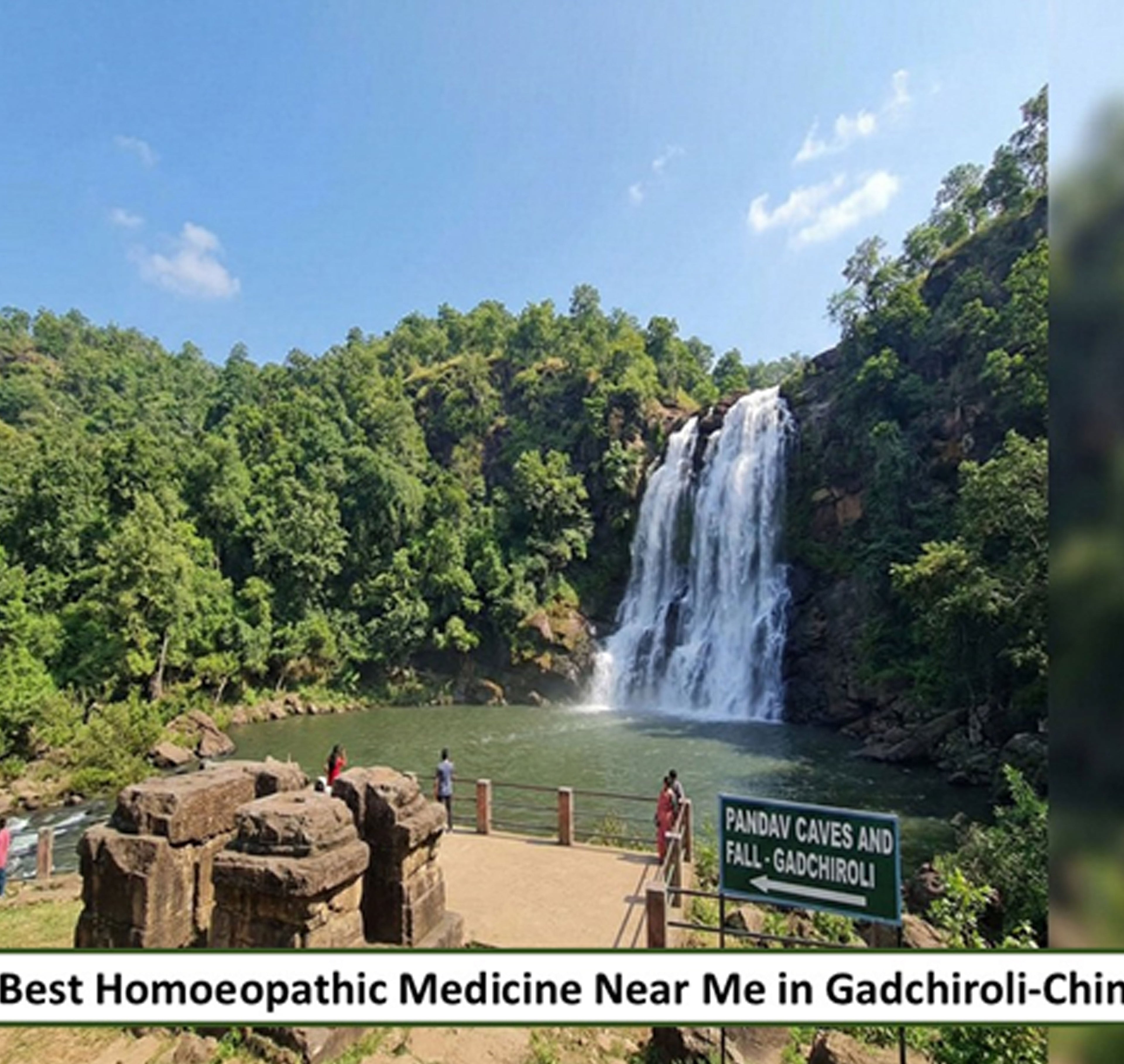 Best Homoeopathic Medicine in Gadchiroli–Chimur, Maharashtra - Adven