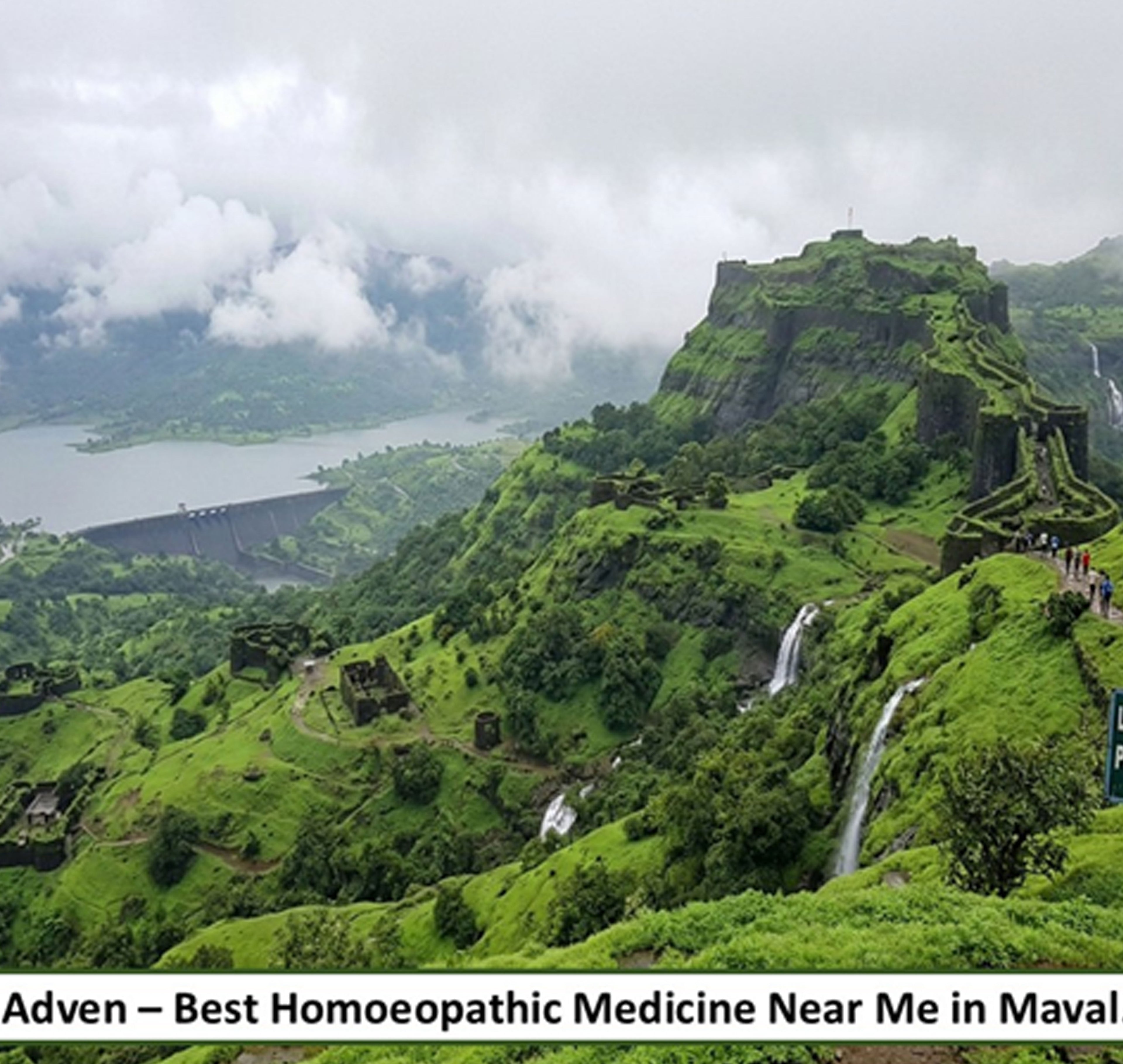 Best Homoeopathic Medicine in Maval, Maharashtra - Adven