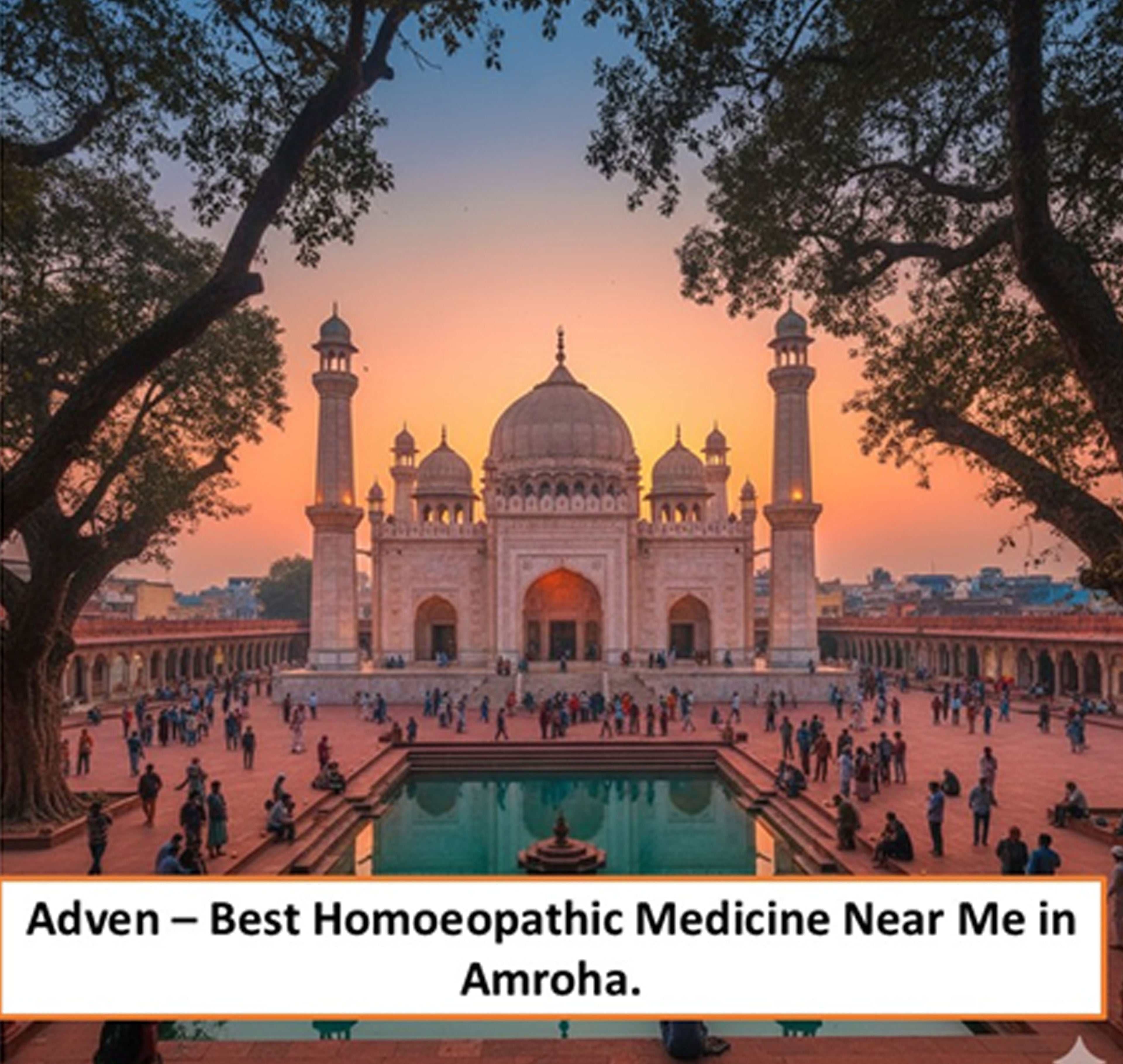 Best Homoeopathic Medicine Near Me in Amroha | Certified Care, Trusted Quality & Modern Homoeopathy - Adven