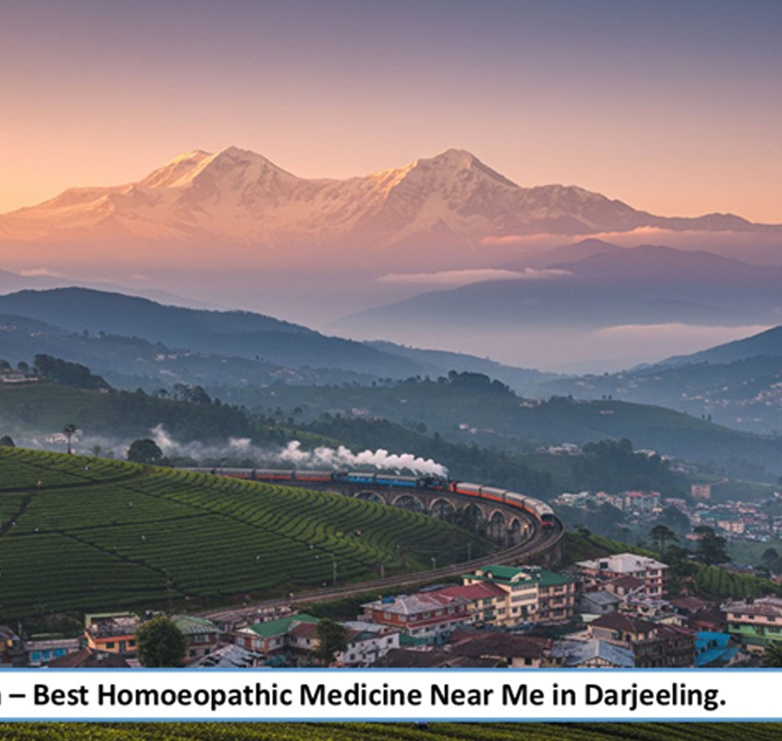 Best Homoeopathic Medicine Near Me in Darjeeling- A Gentle Mountain Wellness for Hill Communities, Supported by Advanced Pharmaceutical-Grade Homoeopathic Manufacturing - Adven