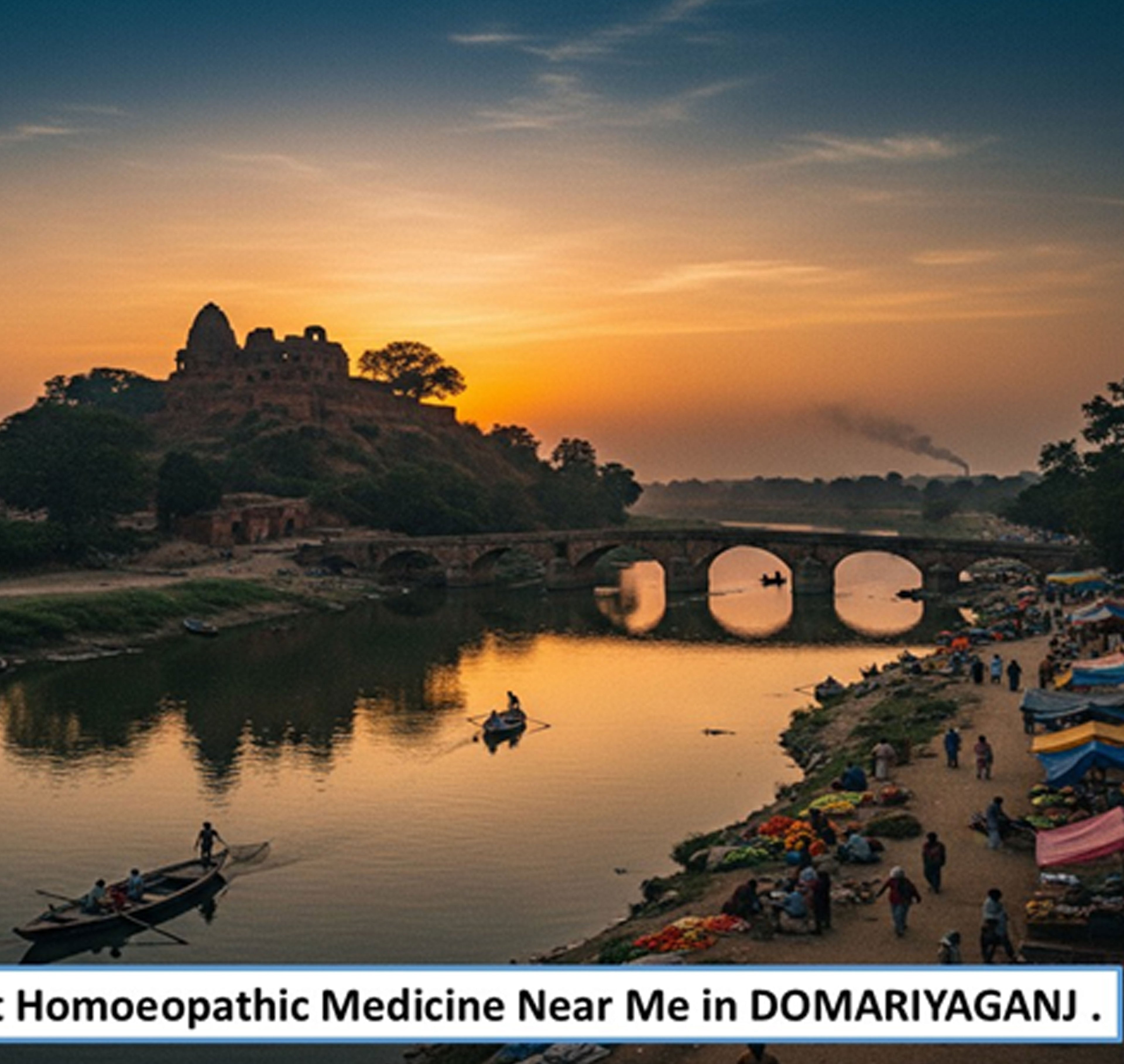 Best Homoeopathic Medicine Near Me in Domariyaganj – Pharmaceutical-Grade Gentle Healing with WHO-GMP Compliant Manufacturing by Adven - Adven