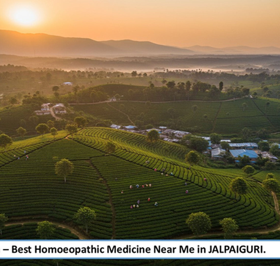 Best Homoeopathic Medicine Near Me in Jalpaiguri-A Climate-Responsive Family Wellness in North Bengal Backed by Advanced Pharmaceutical-Grade Homoeopathic Manufacturing - Adven