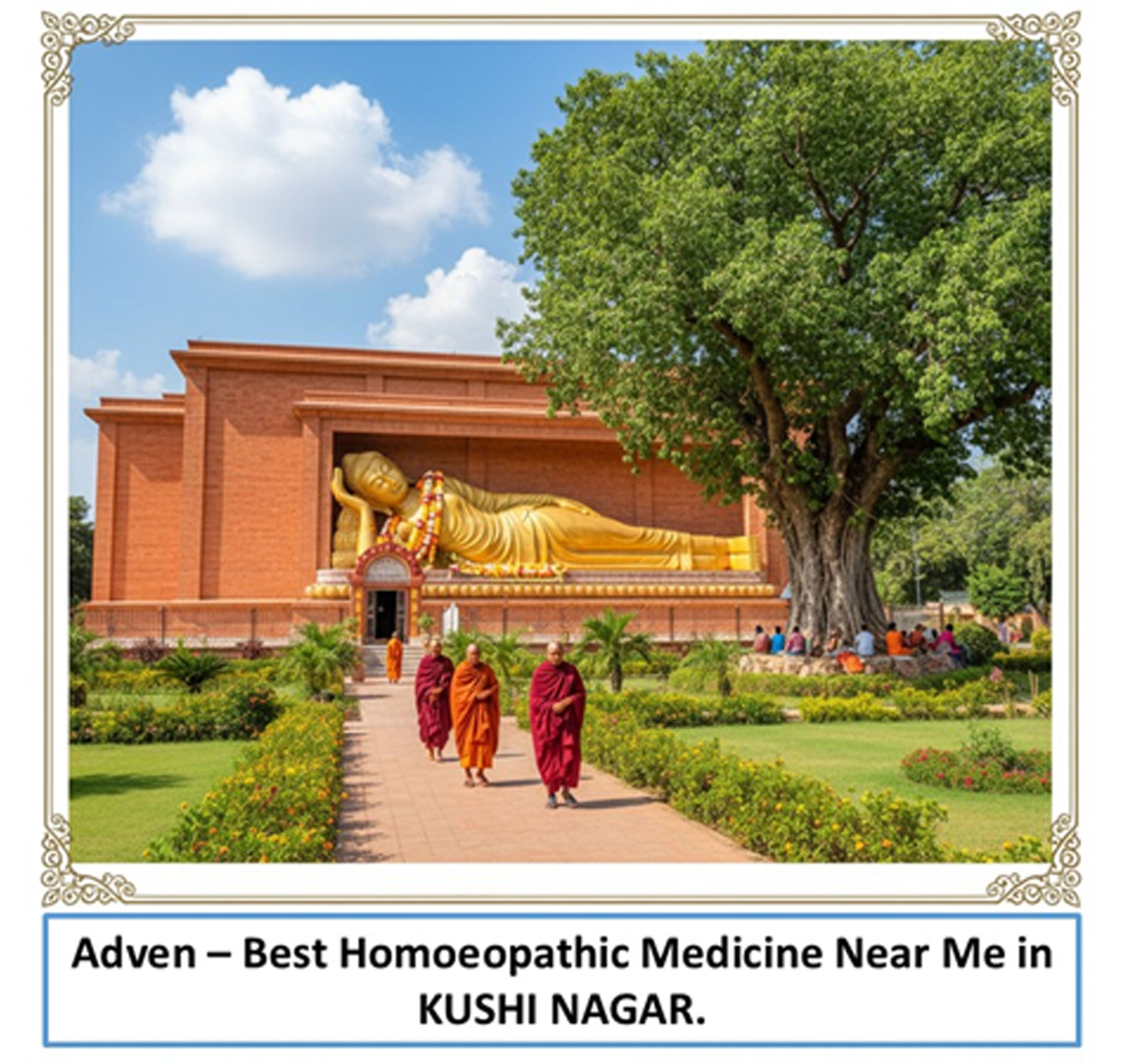 Best Homoeopathic Medicine Near Me in Kushinagar – Trusted Wellness Support with WHO-GMP Compliant Manufacturing by Adven - Adven