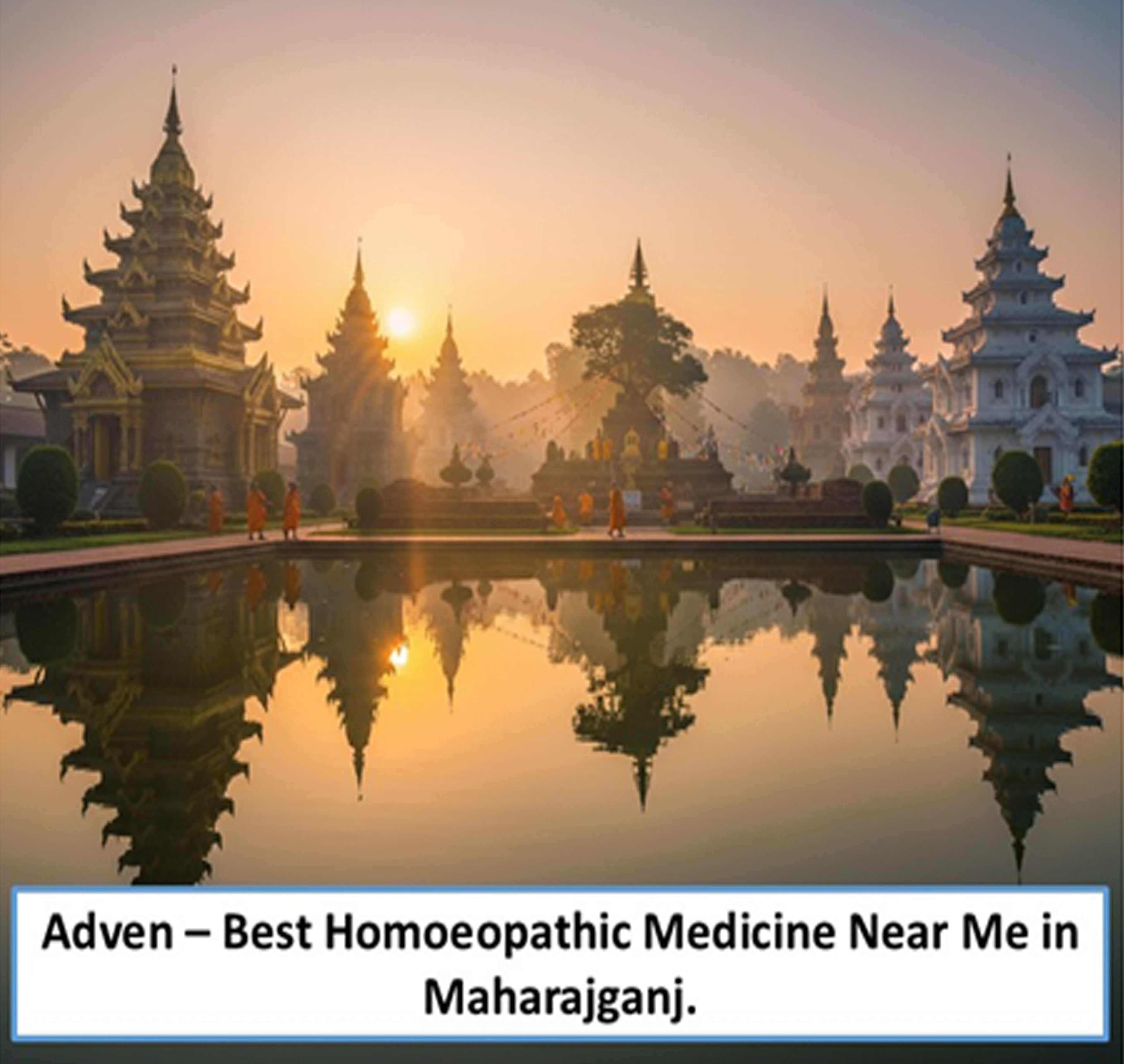 Best Homoeopathic Medicine Near Me in Maharajganj | Trusted Quality, Gentle Healing & Certified Homoeopathy - Adven