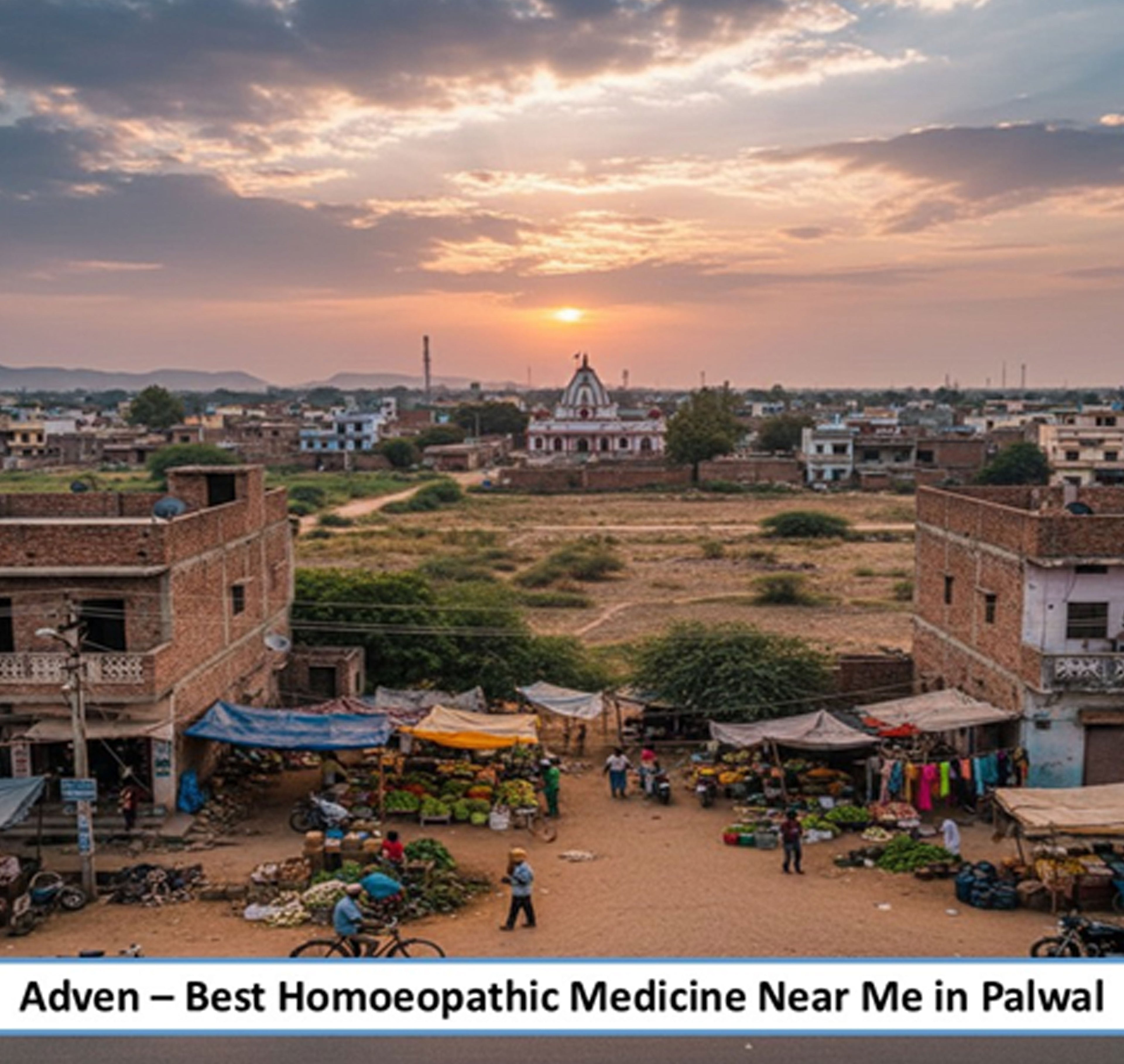 Best Homoeopathic Medicine Near Me in Palwal & Sohna, Haryana- A Balanced Preventive Wellness for South NCR’s Rapidly Developing Twin Regions, Supported by Advanced Pharmaceutical-Grade Homoeopathic Manufacturing - Adven