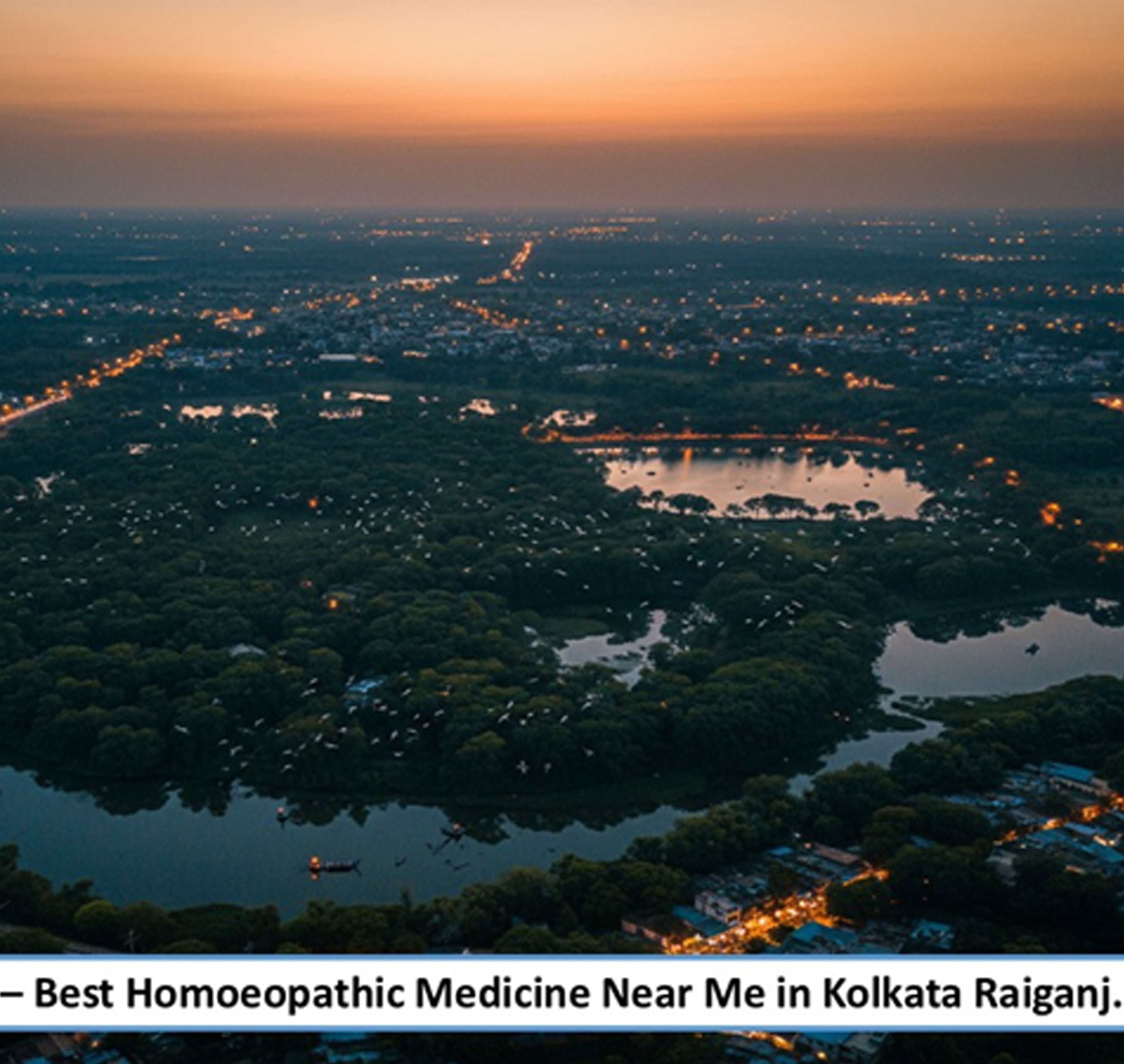 Best Homoeopathic Medicine Near Me in Raiganj- A Everyday Preventive Wellness for North Bengal’s Growing Civic Hub, Backed by Advanced Pharmaceutical-Grade Homoeopathic Manufacturing - Adven