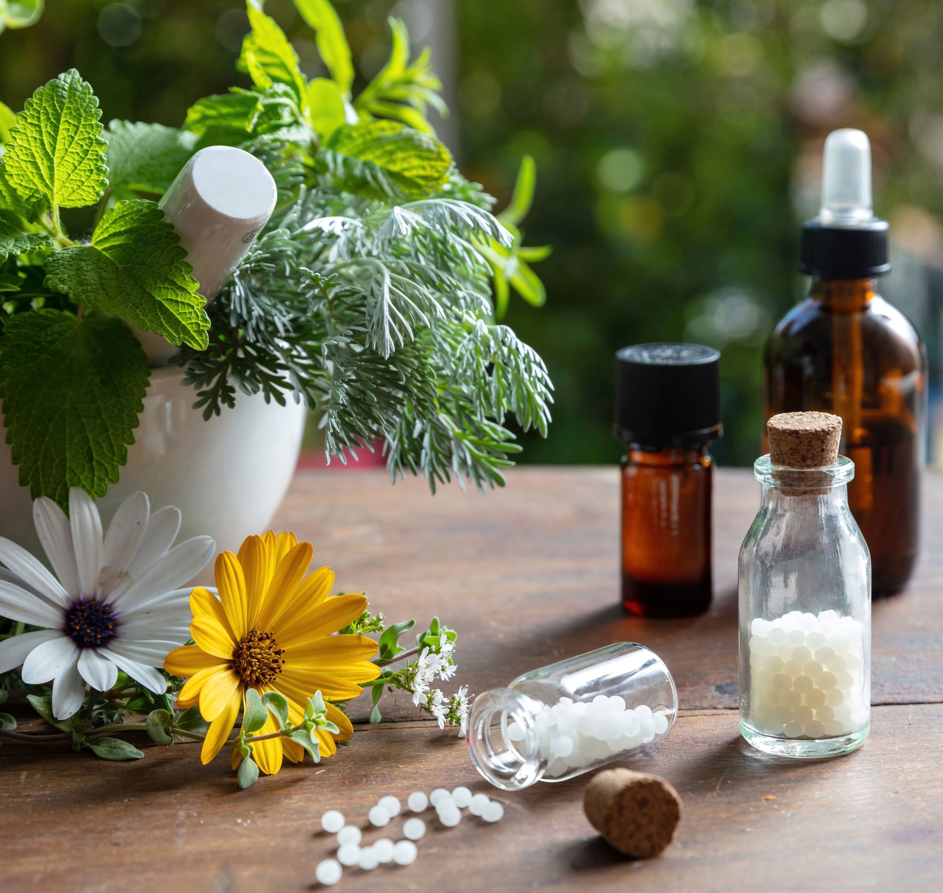 Top 10 Homoeopathic Company in India (2025-2026): Quality, USP & Popular Products - Adven