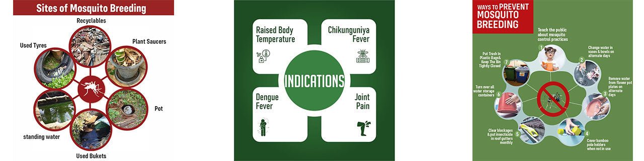 What is Dengue? - Adven