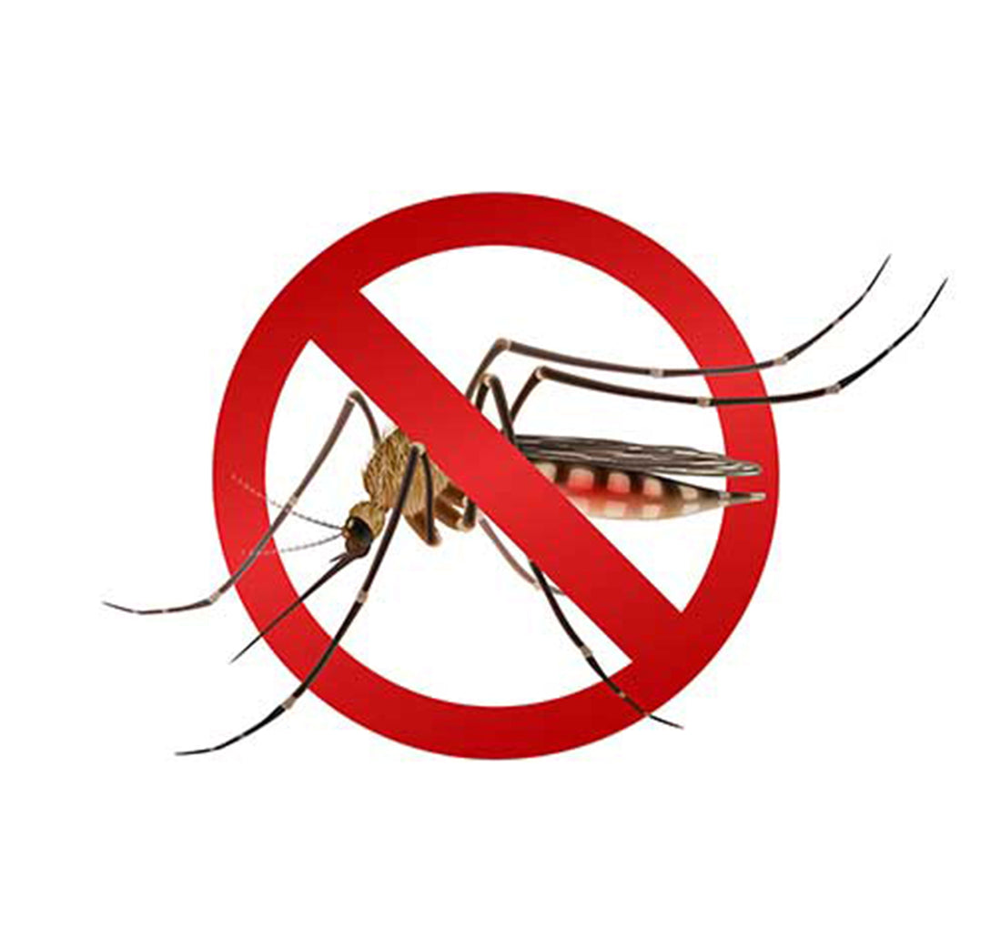 What is Dengue? - Adven