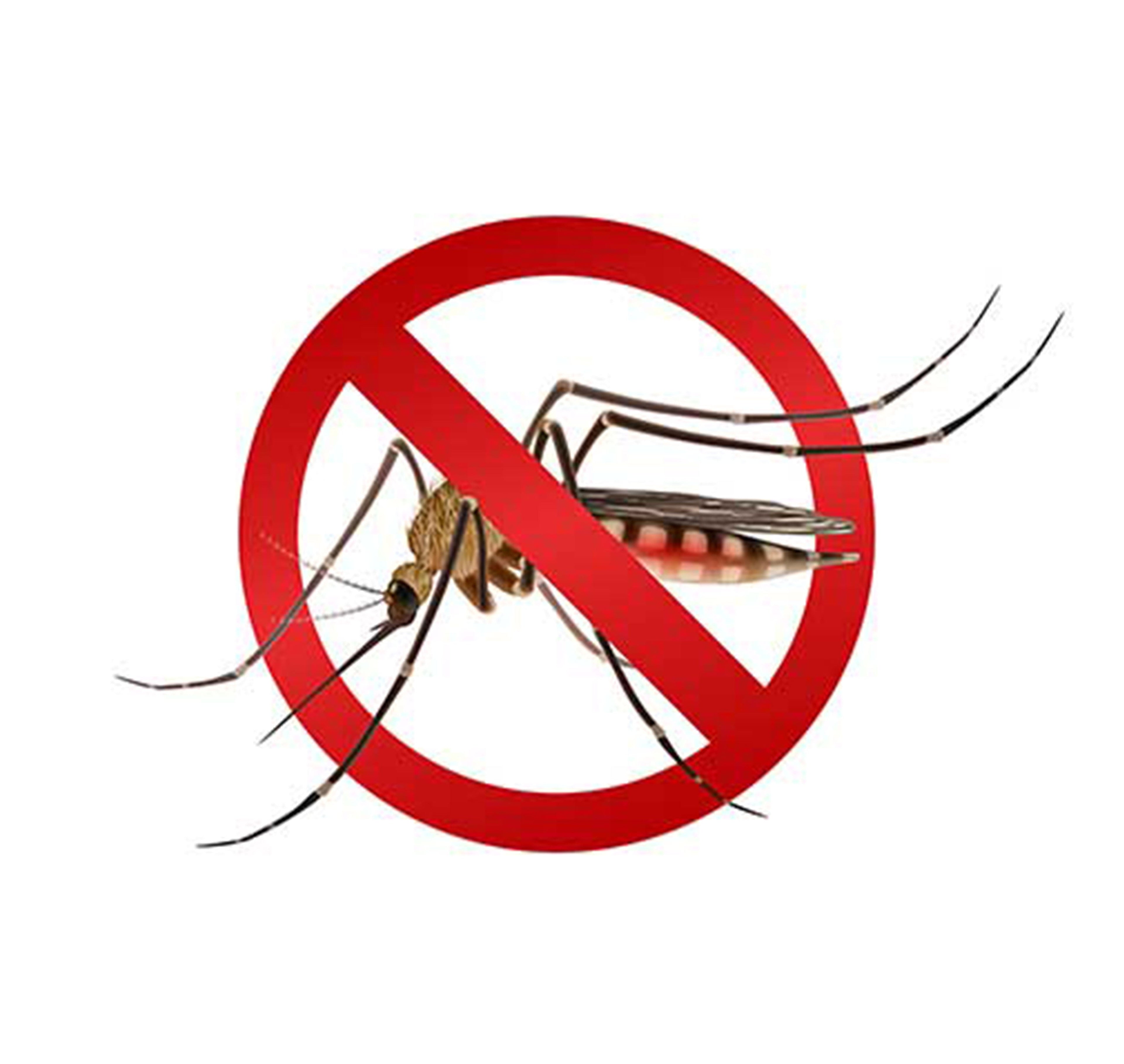 What is Dengue? - Adven