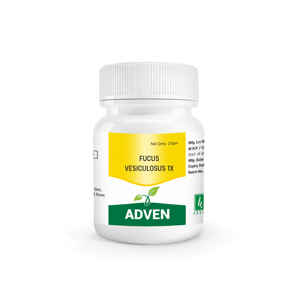 FUCUS VESICULOSUS 1X - Adven