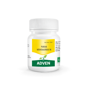 FUCUS VESICULOSUS 1X - Adven