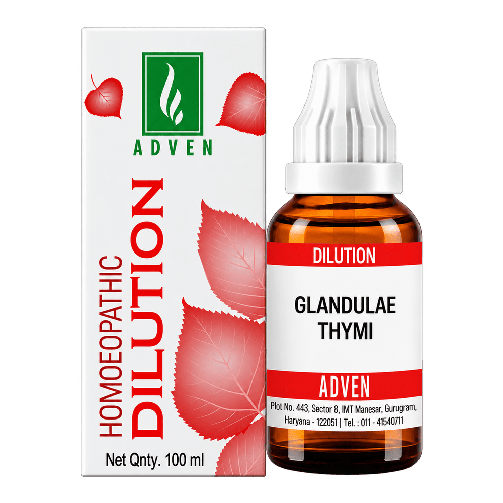 GLANDULAE THYMI - Adven