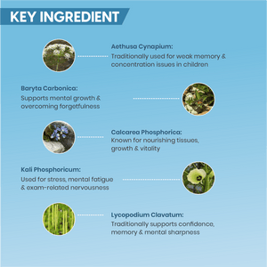 IQ - PLUS DROPS - Adven