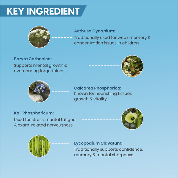 IQ - PLUS DROPS - Adven