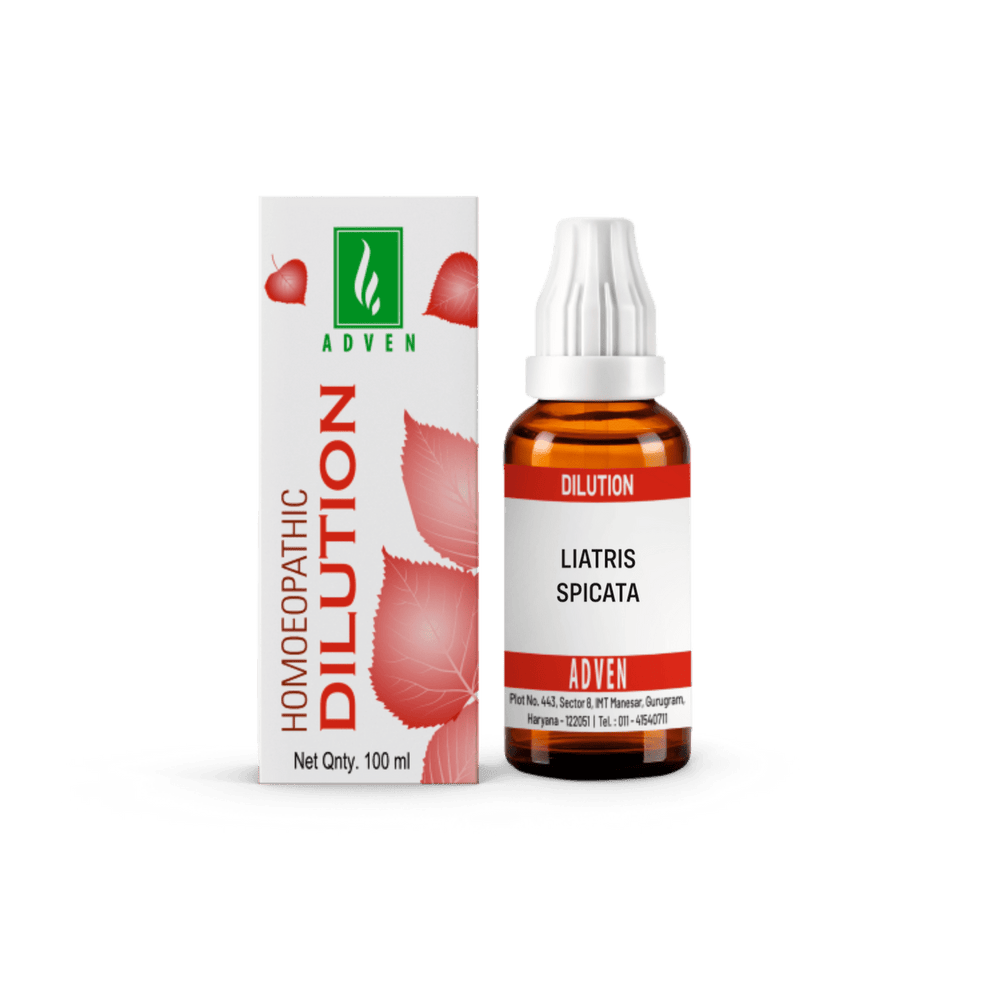 LIATRIS SPICATA - Adven