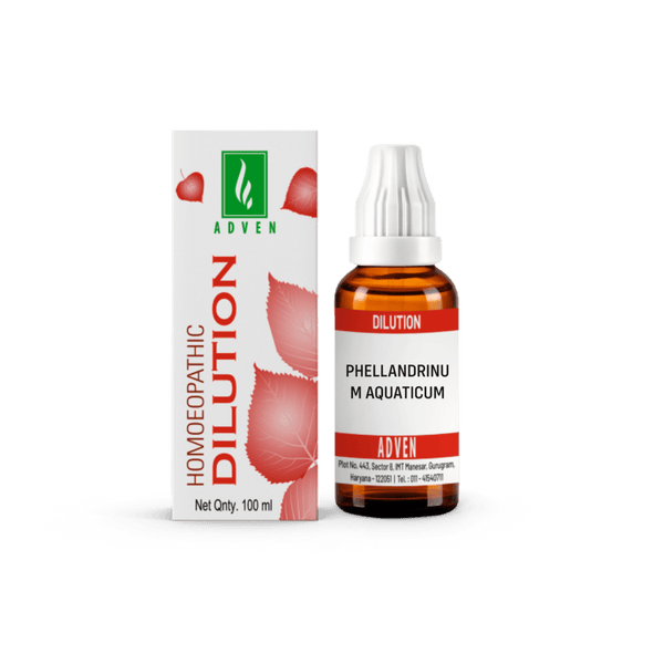 PHELLANDRINUM AQUATICUM - Adven