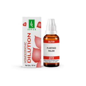 PLANTAGO MAJOR - Adven