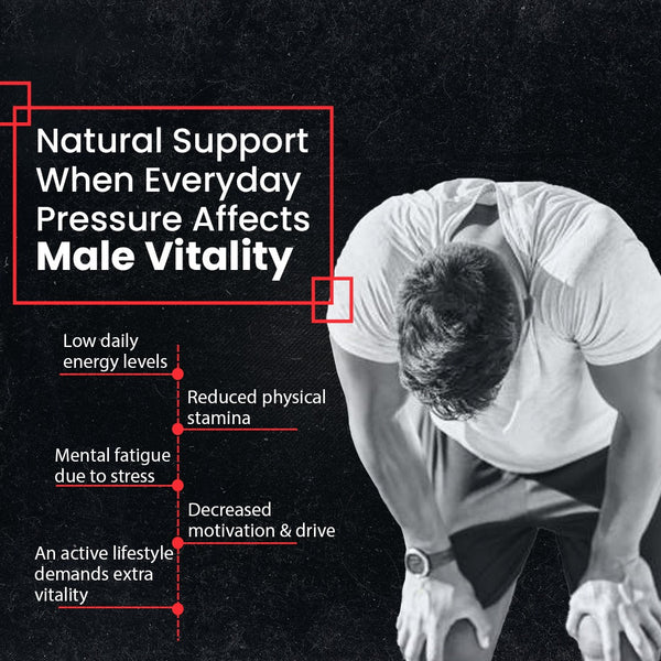 TESTON FORTE DROPS - Adven