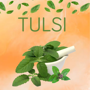 FOLLI THERAPY ANTI DANDRUFF SHAMPOO WITH AZADIRACHTA INDICA (NEEM) & OCIMUM SANCTUM(TULSI) - Adven