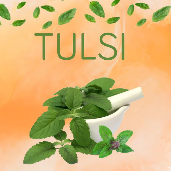 FOLLI THERAPY ANTI DANDRUFF SHAMPOO WITH AZADIRACHTA INDICA (NEEM) & OCIMUM SANCTUM(TULSI) - Adven