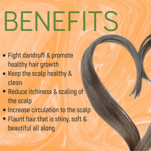FOLLI THERAPY ANTI DANDRUFF SHAMPOO WITH AZADIRACHTA INDICA (NEEM) & OCIMUM SANCTUM(TULSI) - Adven
