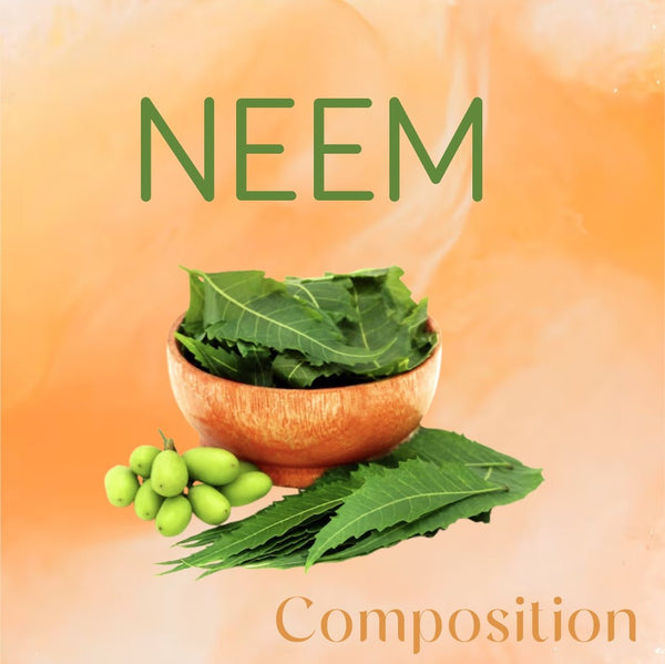 FOLLI THERAPY ANTI DANDRUFF SHAMPOO WITH AZADIRACHTA INDICA (NEEM) & OCIMUM SANCTUM(TULSI) - Adven
